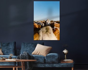 Inmitten der Herde von Anne van Wijk