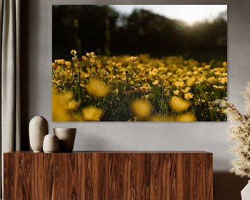 Feld voller Butterblumen von Anne van Wijk