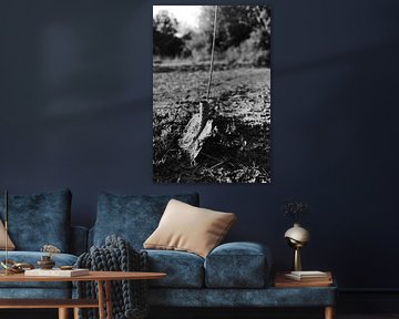 Die geleistete Arbeit von Anne van Wijk