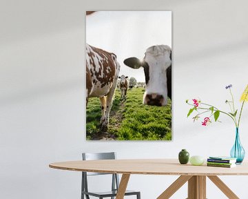 Neugierig auf dem Kuhpfad von Anne van Wijk