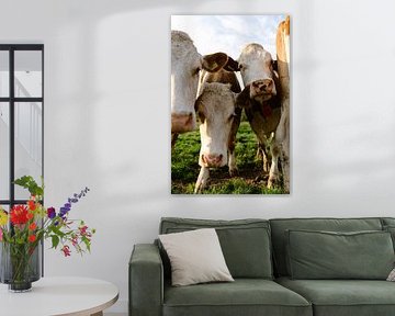 Drei neugierige Kühe von Anne van Wijk