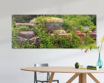Rusty, overgrown vehicles somewhere in Idaho, United States