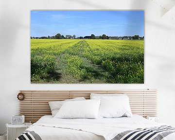 Yellow sheen blooms in the landscape ( rapeseed ) by Jose Lok