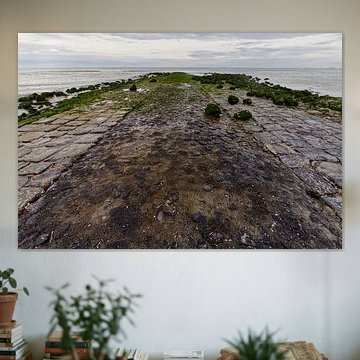 Brise-lames vert sur la plage près d'Ouddorp