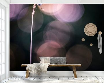 Enjoying the last rays of sunshine by Bob Daalder