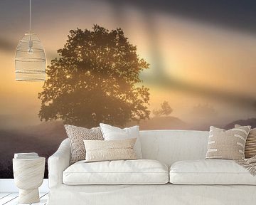 Zonsopkomst in de Mist op het Echtenerzand – Stille Heide met Eenzame Boom