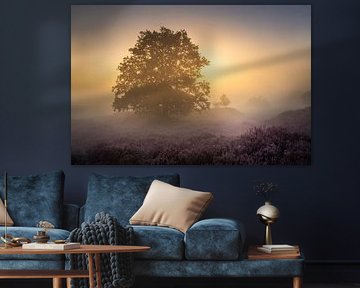 Sunrise in the Mist on Echtenerzand - Silent Heath with Lone Tree