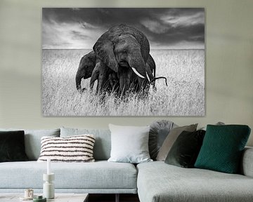 Geschützte Elefantenmutter mit Elefantenbaby in der schönen Natur Afrikas