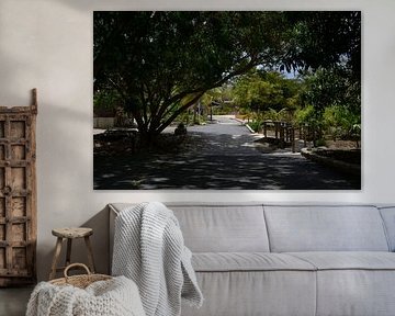 Eingang Hofi Mango Curacao von Europhoto Netherlands