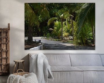 Hofi Mango 2 von Europhoto Netherlands