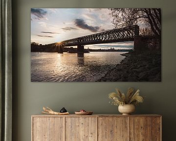 Spoorbrug met uitzicht op Mainz met zonster op de Rijn