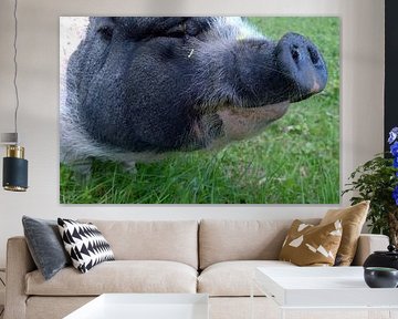 sauglücklich von fantasina