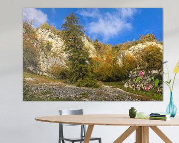 Roches de calcaire du Jura dans le parc naturel du Haut-Danube près de Fridingen sur BlattArt - Christine Horn