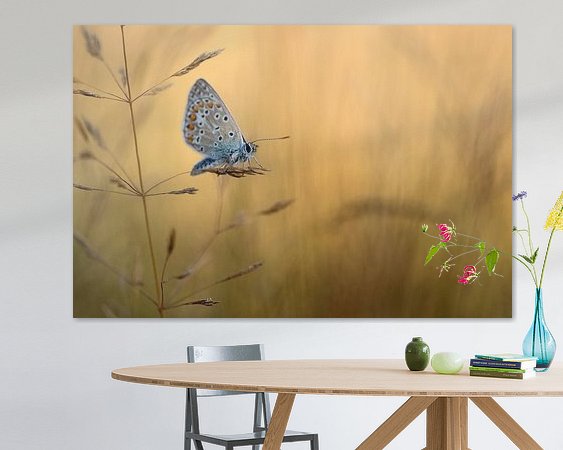 Voorbeeld van het werk in een kamer