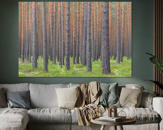 Aperçu de la chambre