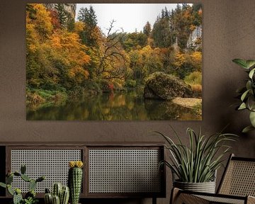 Le Danube près de Fridingen en octobre dans le parc naturel du Haut-Danube sur BlattArt - Christine Horn