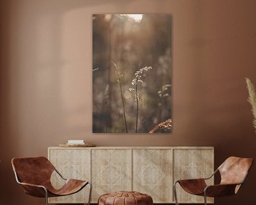 Winterblume von Yvette Moeskops