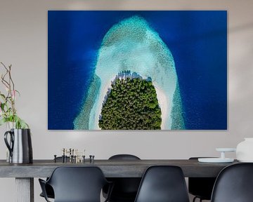 Palm Island by Tilo Grellmann