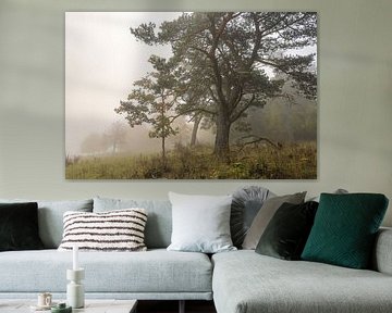 Dense fog in the Stiegelesfels nature reserve near Fridingen in the Upper Danube Nature Park by BlattArt - Christine Horn