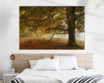 Autumn tree in the Stiegelesfels nature reserve near Fridingen in dense fog - Naturpark Obere Donau by BlattArt - Christine Horn