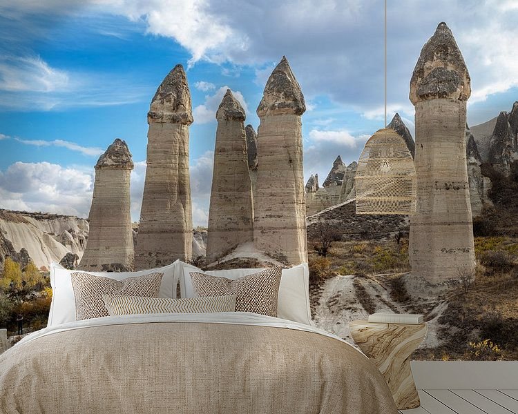 Aperçu de la chambre