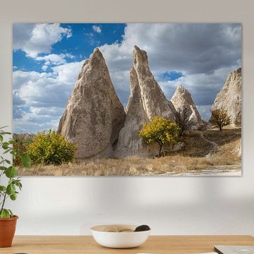Paysage de Cappadoce