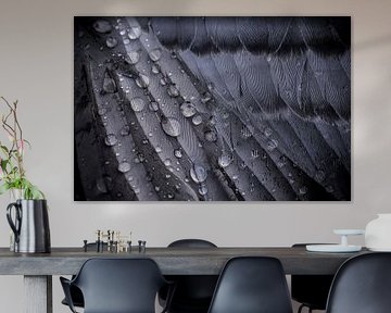 Regentropfen auf Flügeln