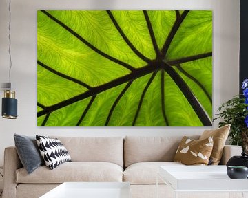 Grüne Formen der Natur