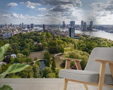 Zicht op de Erasmusbrug von Menno Schaefer