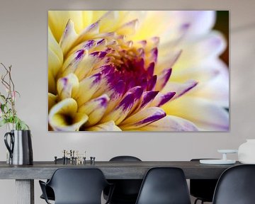 Flower - Prachtvoll in gelb und Lila von Lindenthal.ART