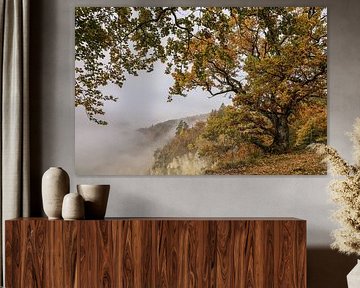 Vieux chêne près du point de vue de Burgstall au-dessus de Fridingen par un jour d'automne brumeux - Parc naturel du Haut-Danube sur BlattArt - Christine Horn