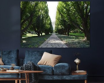 Eine Allee des botanischen Gartens