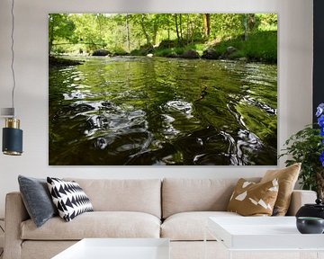 The river in the park in summer