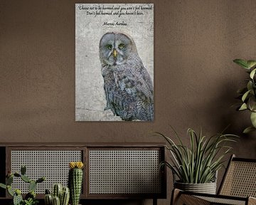 Don't choose to feel hurt.