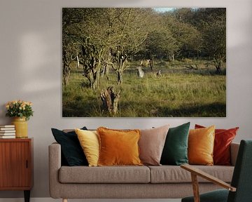 Hirsche im Wald von foto's van gijs