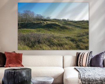 monticules d'ombre sur foto's van gijs