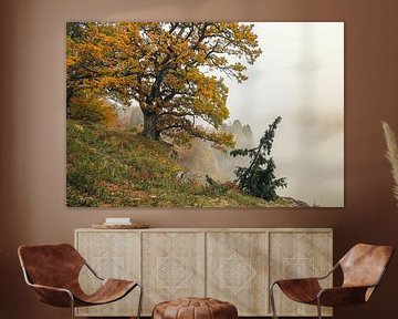 Point de vue Burgstall au-dessus de Fridingen avec vieux chêne, buisson de genévrier et brouillard - Parc naturel du Haut-Danube sur BlattArt - Christine Horn