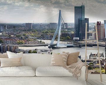 Die Erasmusbrücke Rotterdam von Menno Schaefer