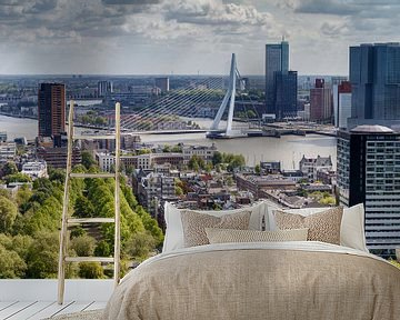 De Erasmusbrug Rotterdam van Menno Schaefer