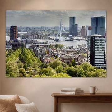 The Erasmus Bridge Rotterdam