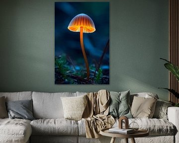 The shining guardian of the forest floor by Skyfall