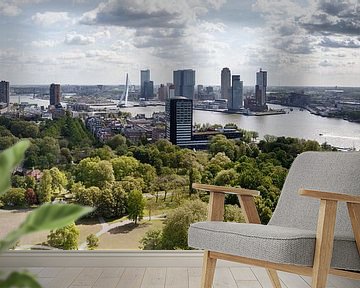 De Erasmusbrug Rotterdam von Menno Schaefer