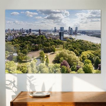 De Erasmusbrug Rotterdam