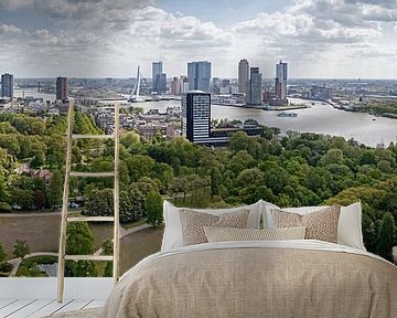 De Erasmusbrug Rotterdam van Menno Schaefer