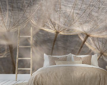 Naturally soft and fluffy: Light on the fluff ball by Marjolijn van den Berg