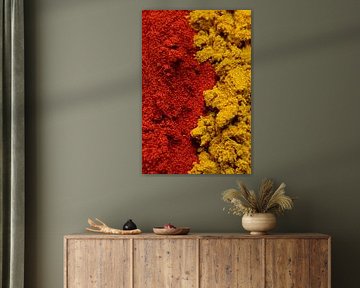 Paprika&Curry by Doortje Kwakkel