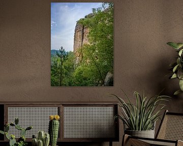 Sächsische Schweiz - Neuer Wildenstein