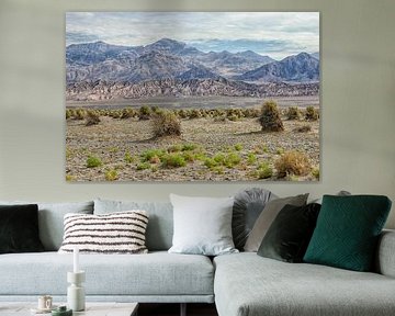 Stunning scenery in Death Valley, California by Patricia Hofmeester