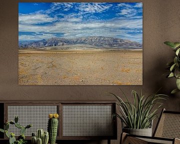 Desert landscape in Death Valley in California by Patricia Hofmeester