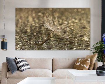 Tijd voor een nieuwe start: Het pluisje is uitgevlogen van Marjolijn van den Berg